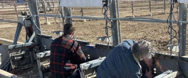 Integrity Website Images - 7